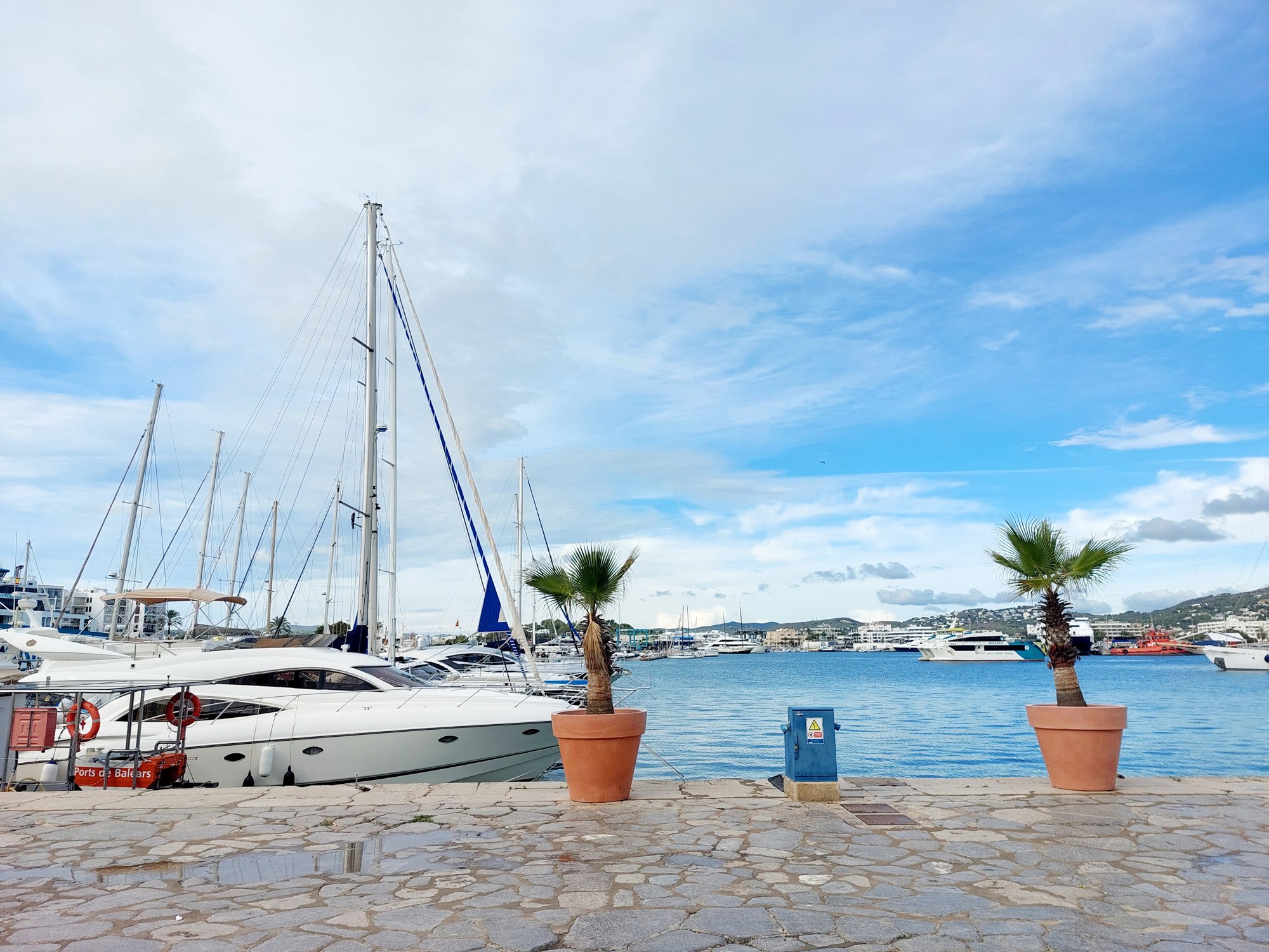 Hafen von Ibiza mit Yachten und Palmen
