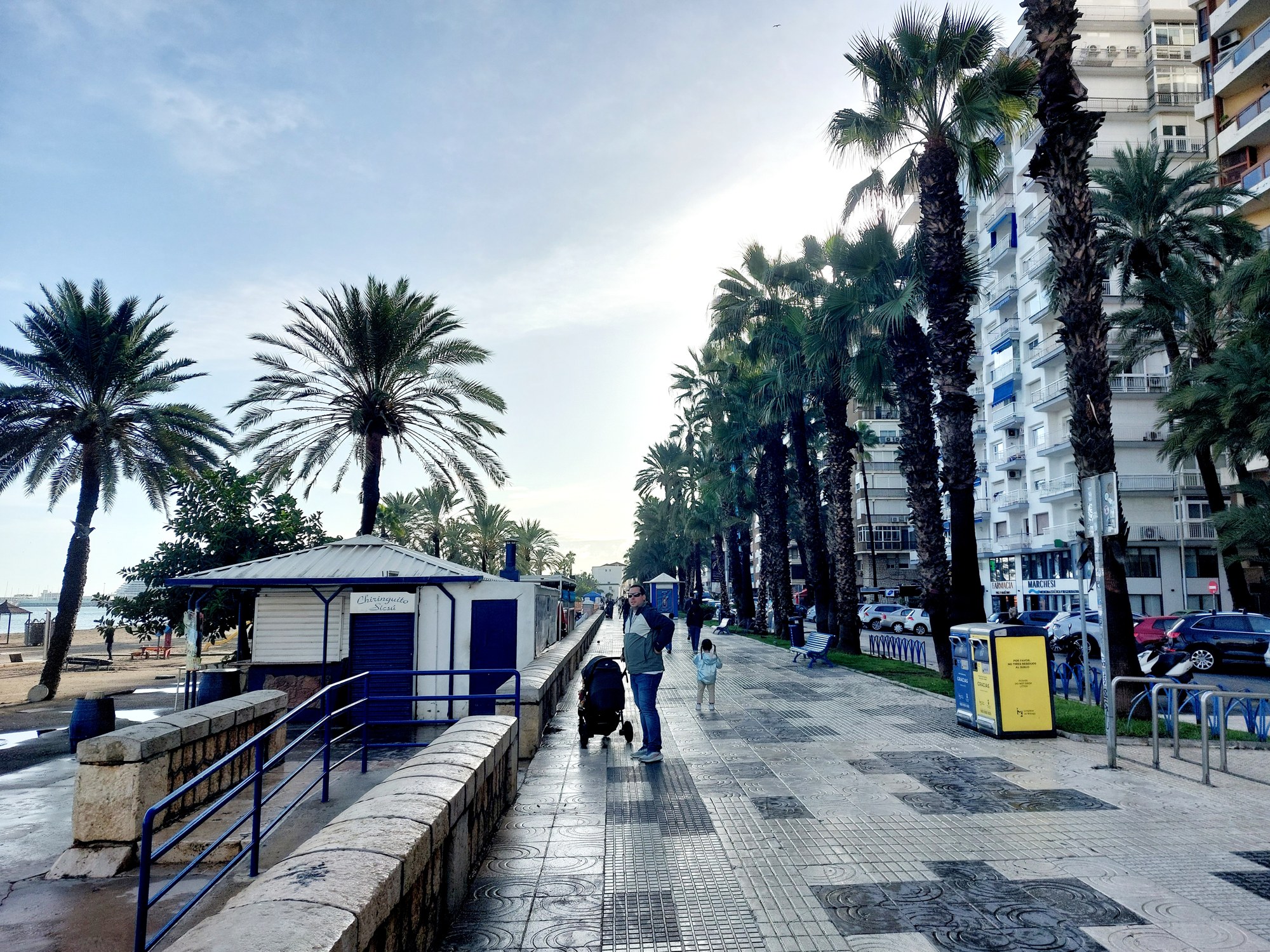 Palmenpromenade in Málaga mit Buggy