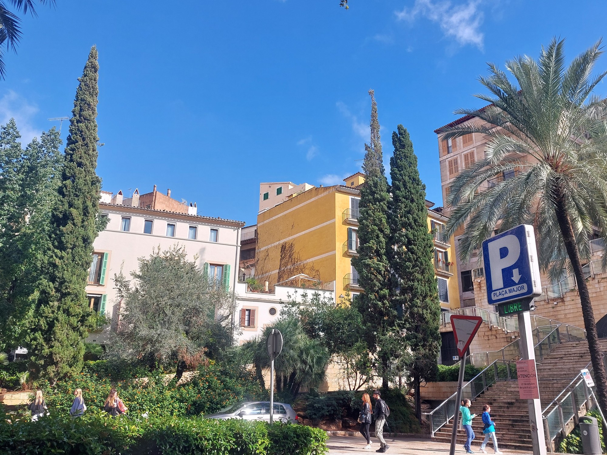 Platz in der Altstadt von Palma de Mallorca mit Palmen und Café