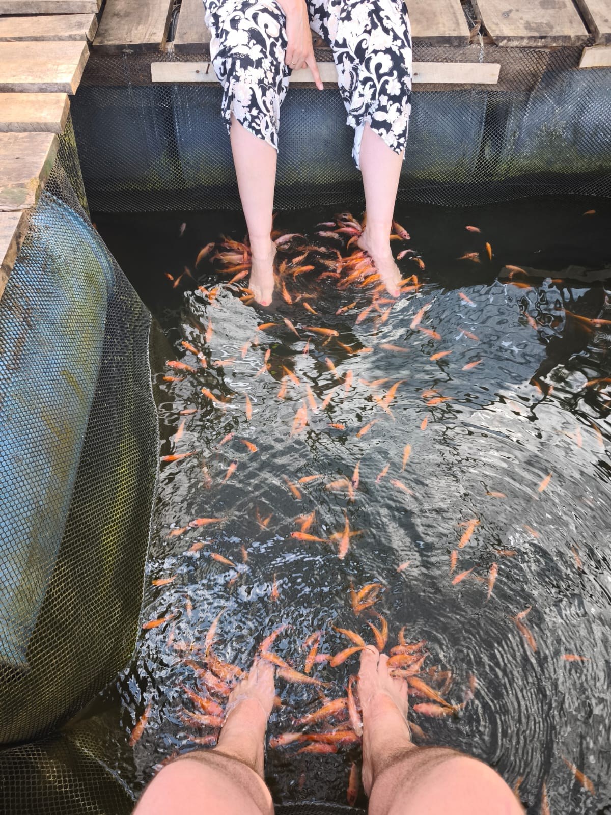 Fischmassage an den Füßen in Sri Lanka