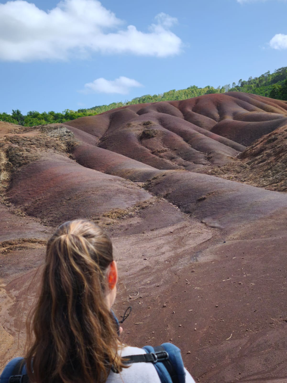 Blick auf die Siebenfarbige Erde von Chamarel, Mauritius