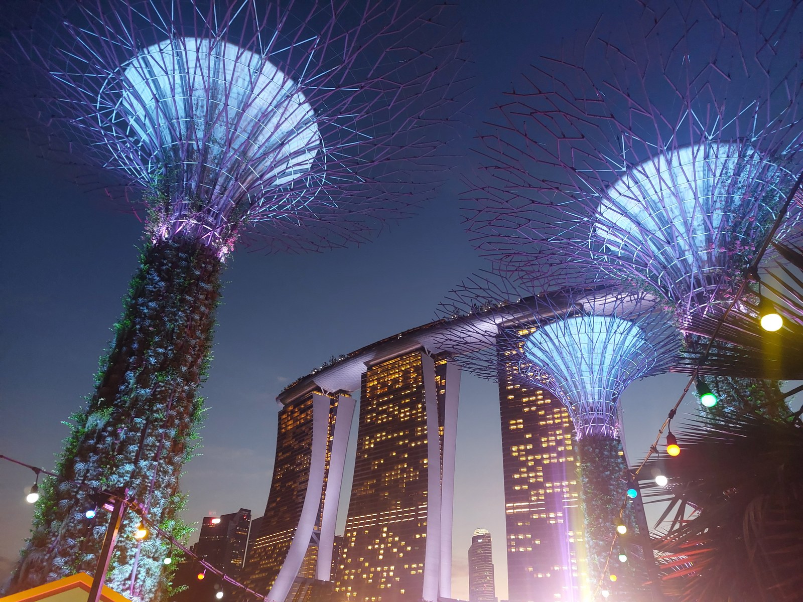 Supertrees Gardens by the Bay Singapur