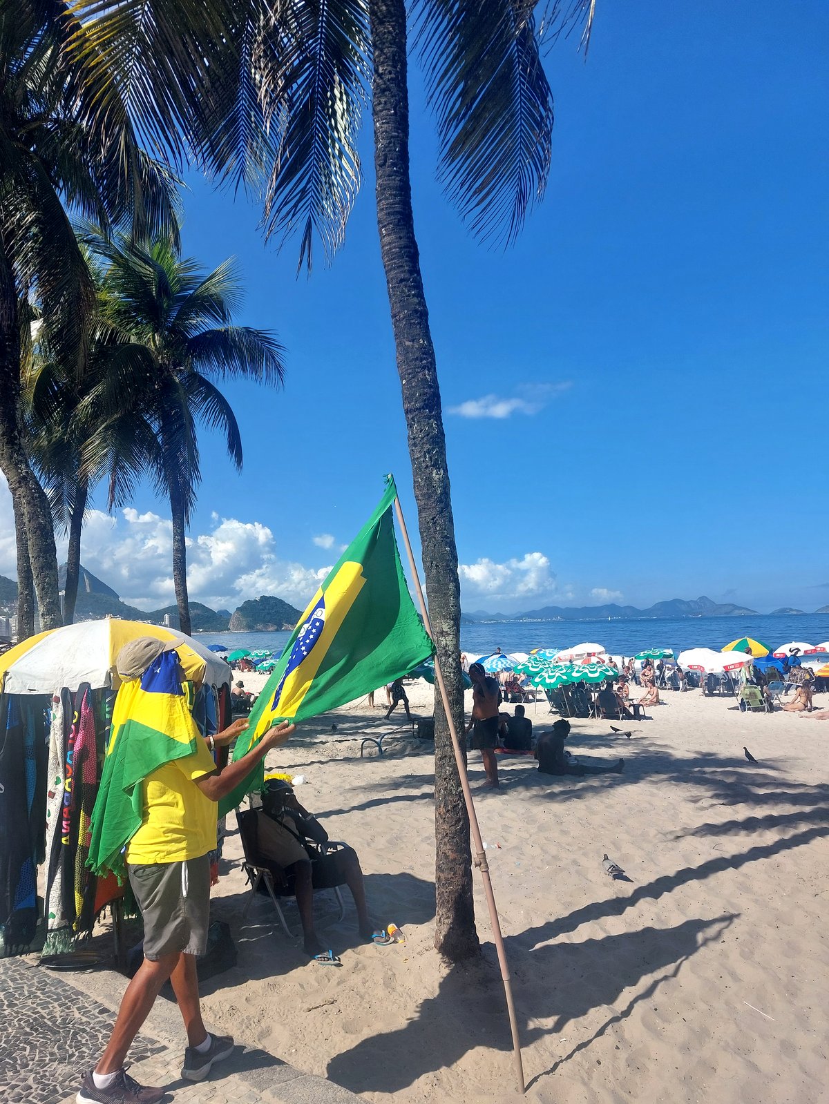 Brasilianische Flagge unter Palmen am Strand von Copacabana