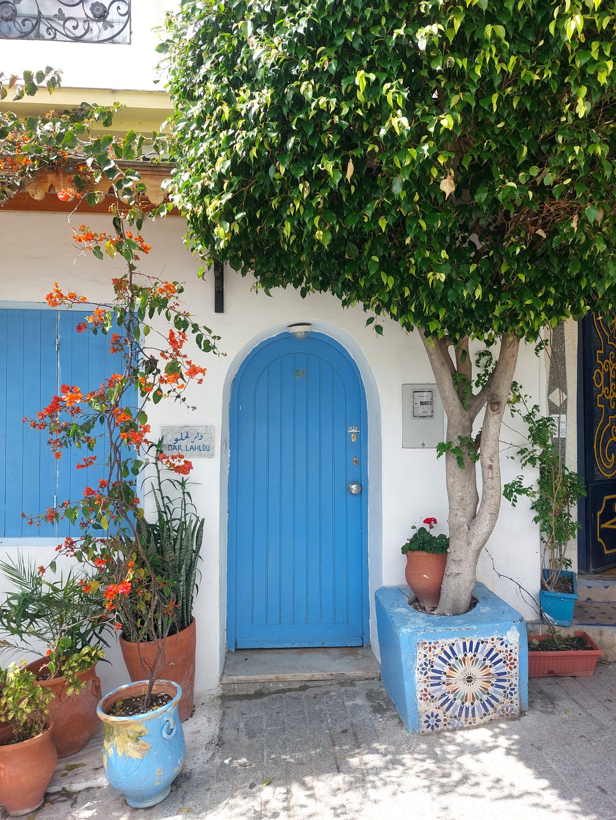 Bunte blaue Tür und Hausfassade mit Blumen in Tanger Marokko